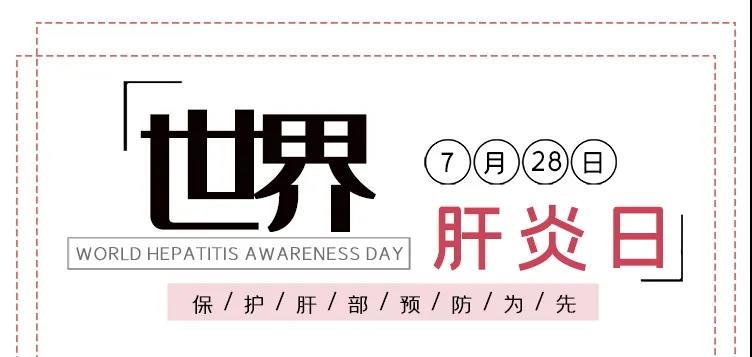 世界肝炎日——積極預(yù)防，主動檢測，規(guī)范治療，全面遏制肝炎危害！